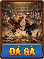 đá gà